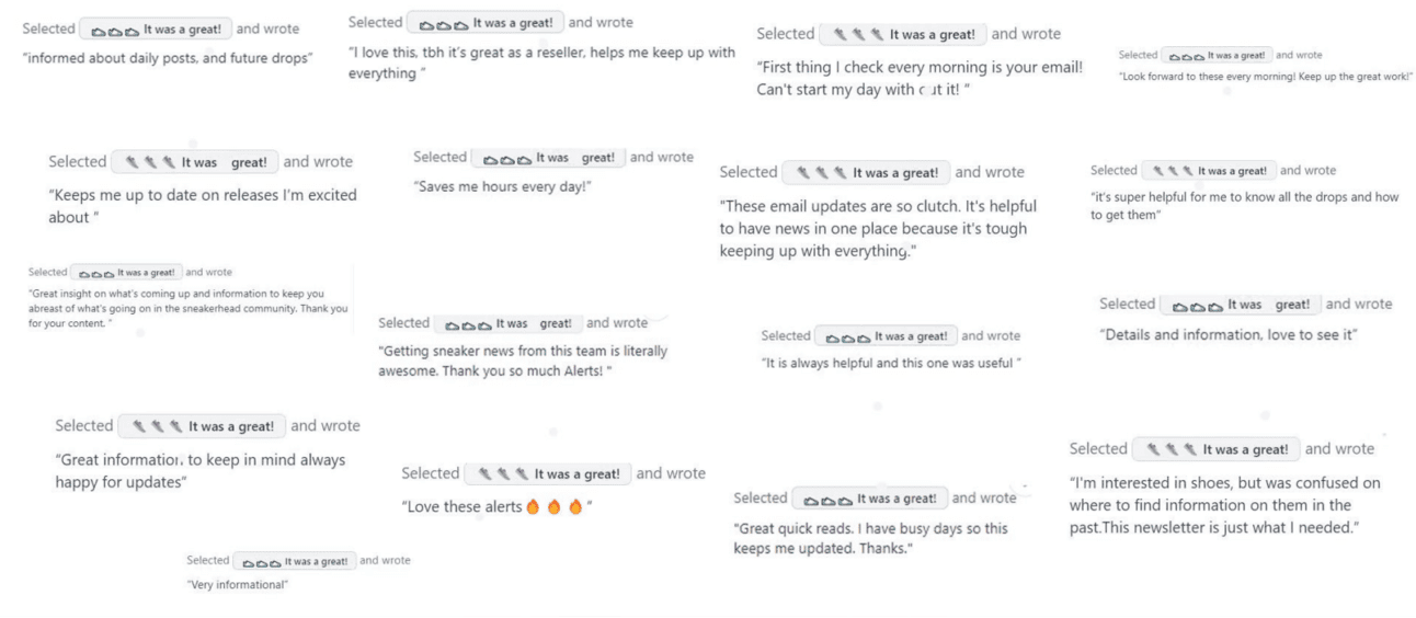 Feedback on the newsletter from my target audience of sneaker enthusiasts